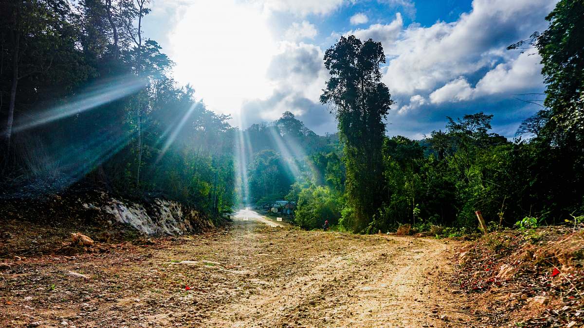 dirt road sun shining on trees gravel